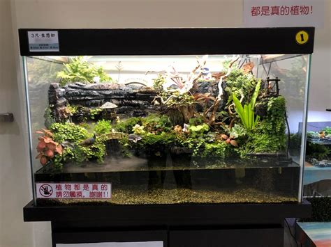 魚缸擺飾|妙妙花園。::生態魚缸專賣。屬於您的小小療癒世界::